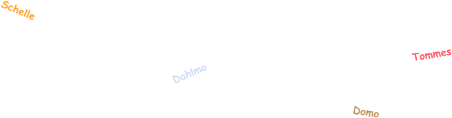 Schelle Domo Tommes Dahlmo